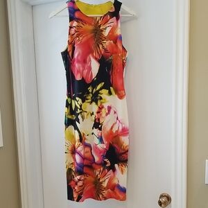 Frank Lyman Design Colorful Floral Midi Dress. Size US 6